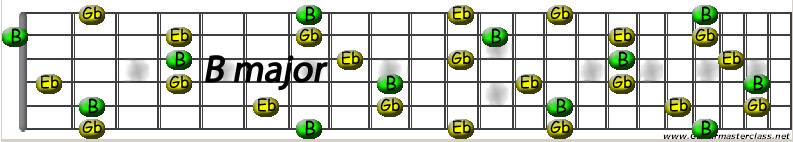 B major.jpg
